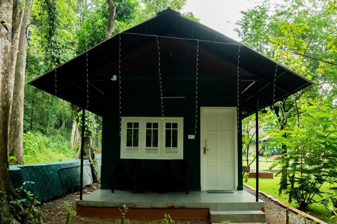 The Nest Thattekad Thattakād Εξωτερικό φωτογραφία